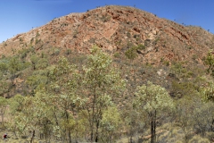 OZ0316-110704P1920