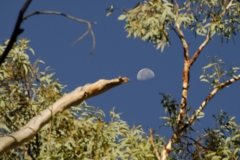 OZ0317-072136